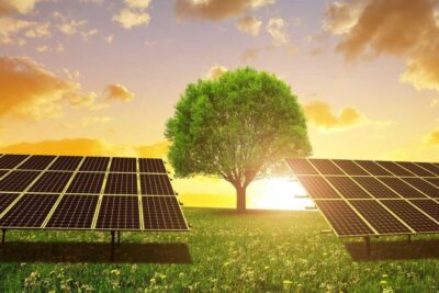 Medio ambiente y paneles solares