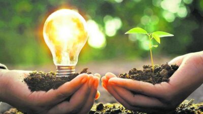 paneles solares y sustentabilidad energética